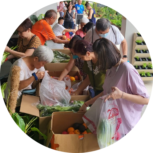 Participate in Food Rescue and Distribution Days
