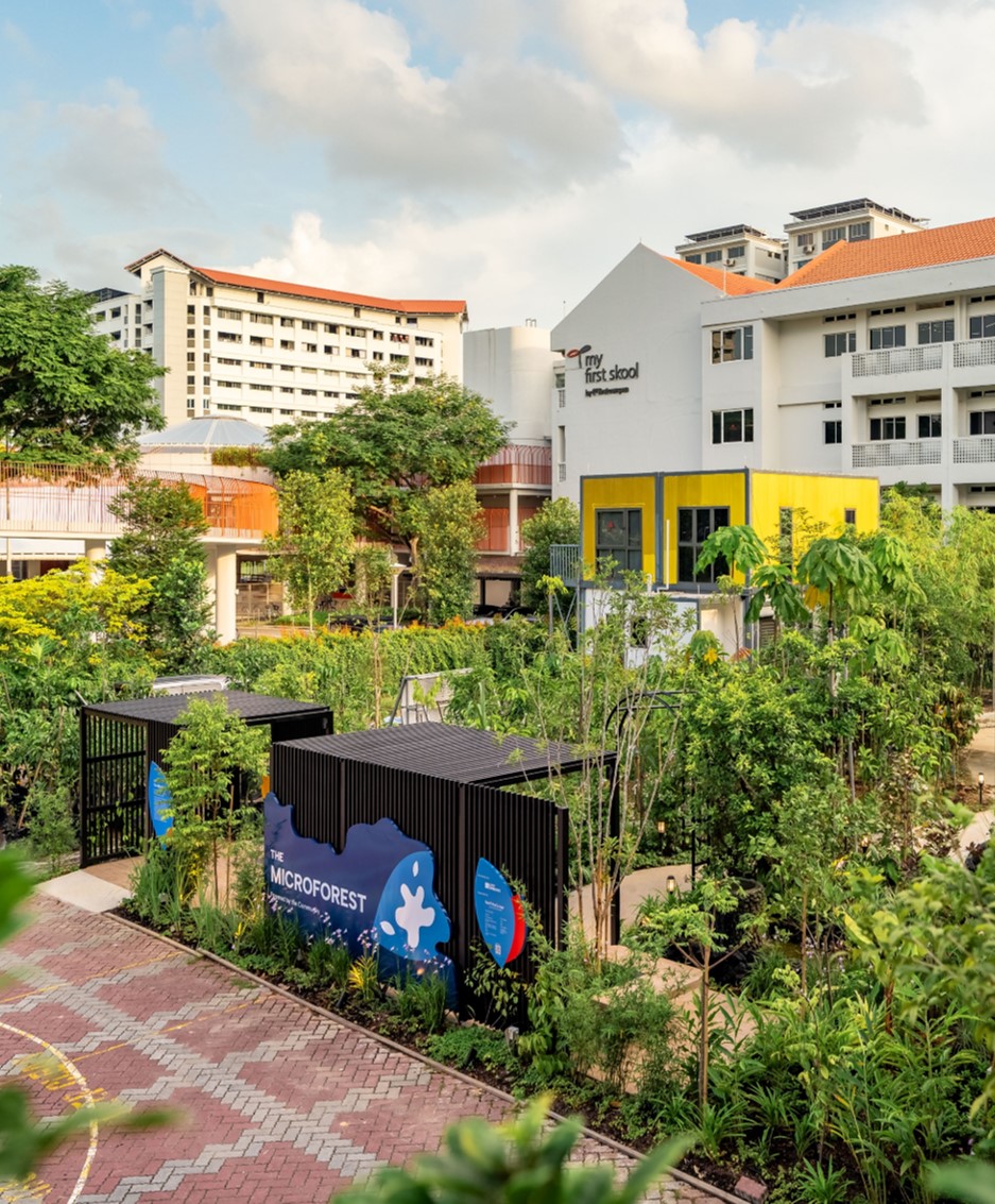 The Microforest at The Carbon Gallery in Singapore, a biodiverse green space featuring kampung-inspired plantings that promote sustainable living and environmental education.
